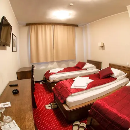酒店 Hotel Konak Konjic 3*